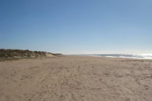 Playa de la Mangueta-9
